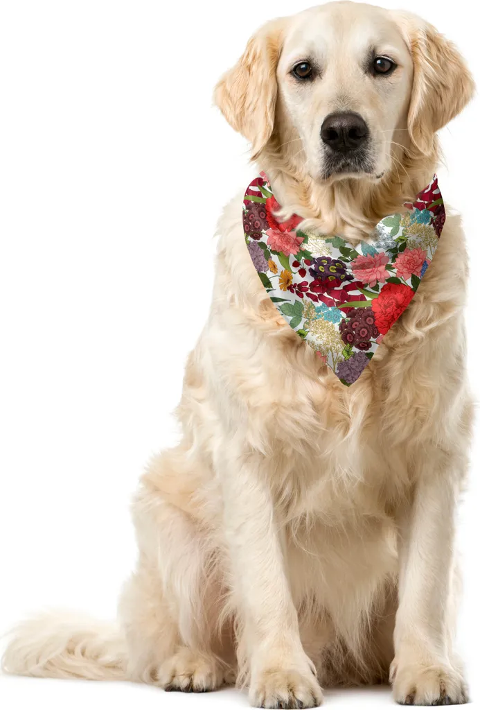 ABAKUHAUS Bandana Pet 40x40 Multicolore - Foulard Lavabile Fiori