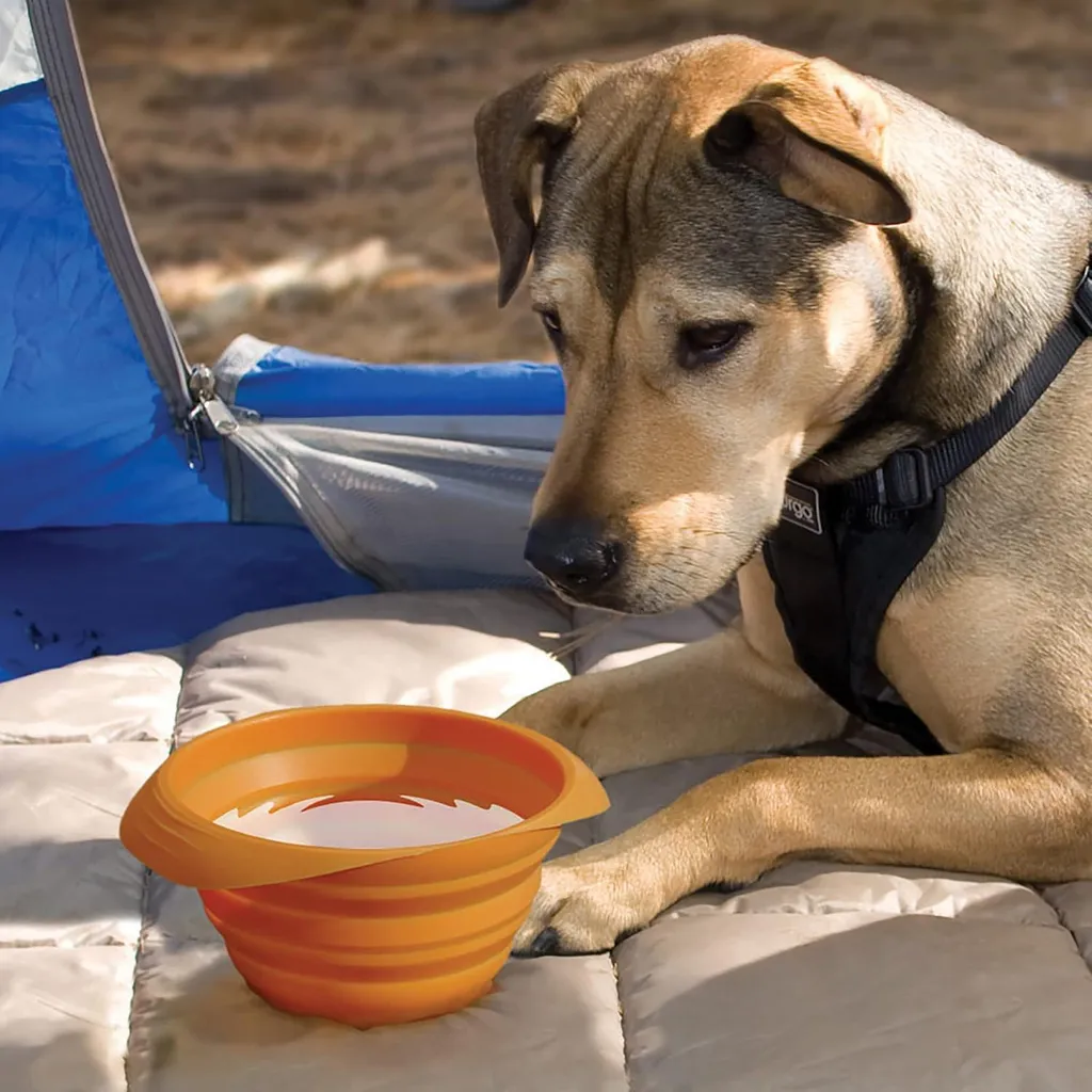 Gamelle silicone sans BPA pour chien 700 ml - Pliable et Étanche - 4