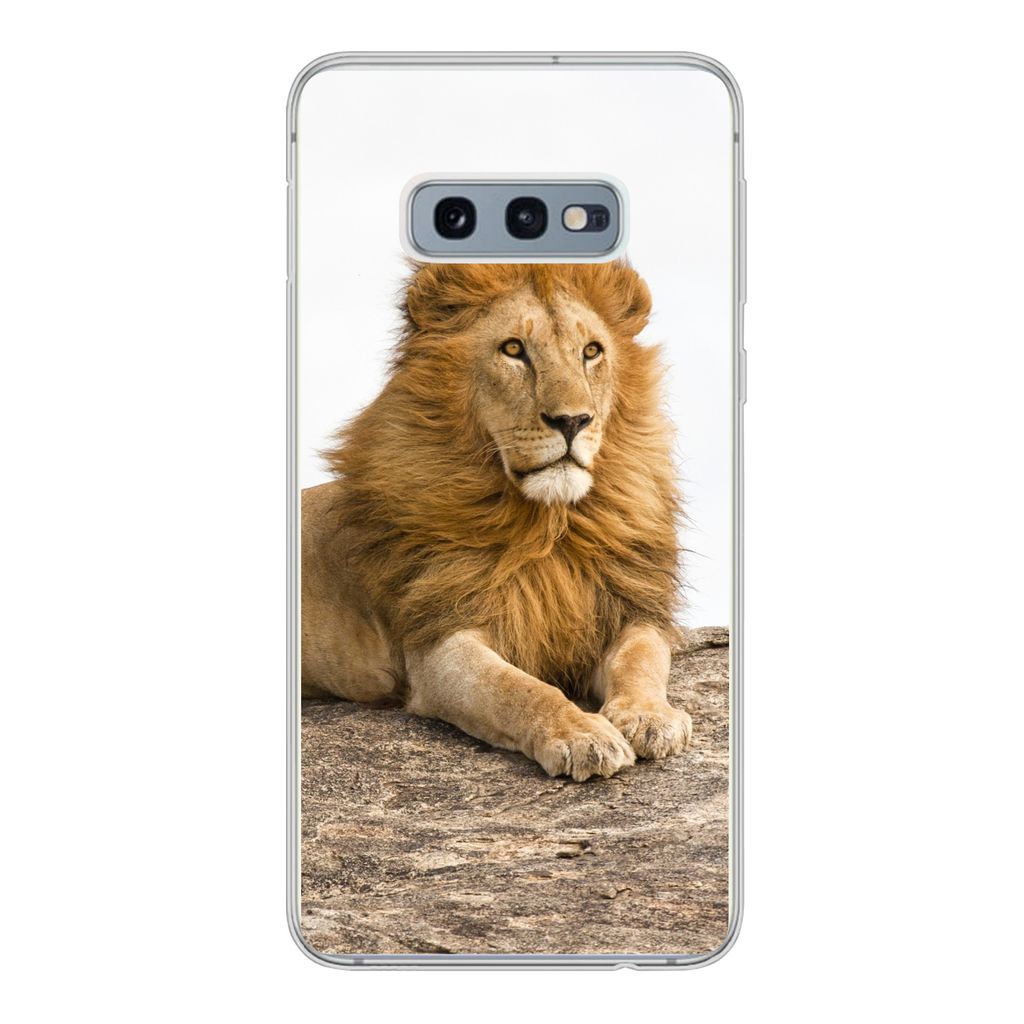 MuchoWow Handyhülle Schutzhülle Hülle für Samsung Galaxy S10e Löwe - Mähne - Tier Silikon Softcase Handy Hülle - Handy