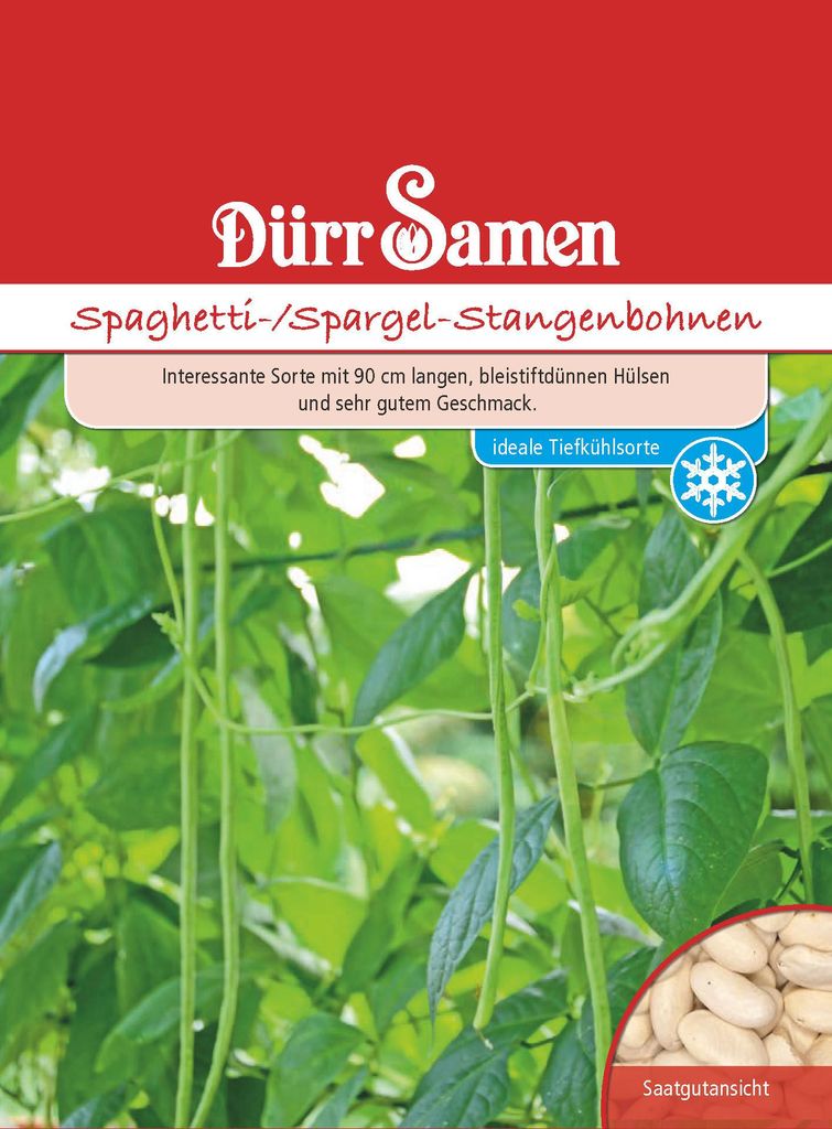Dürr-Samen - Spaghetti-Stangenbohnen - Saatgut - 0909 Produktbild 