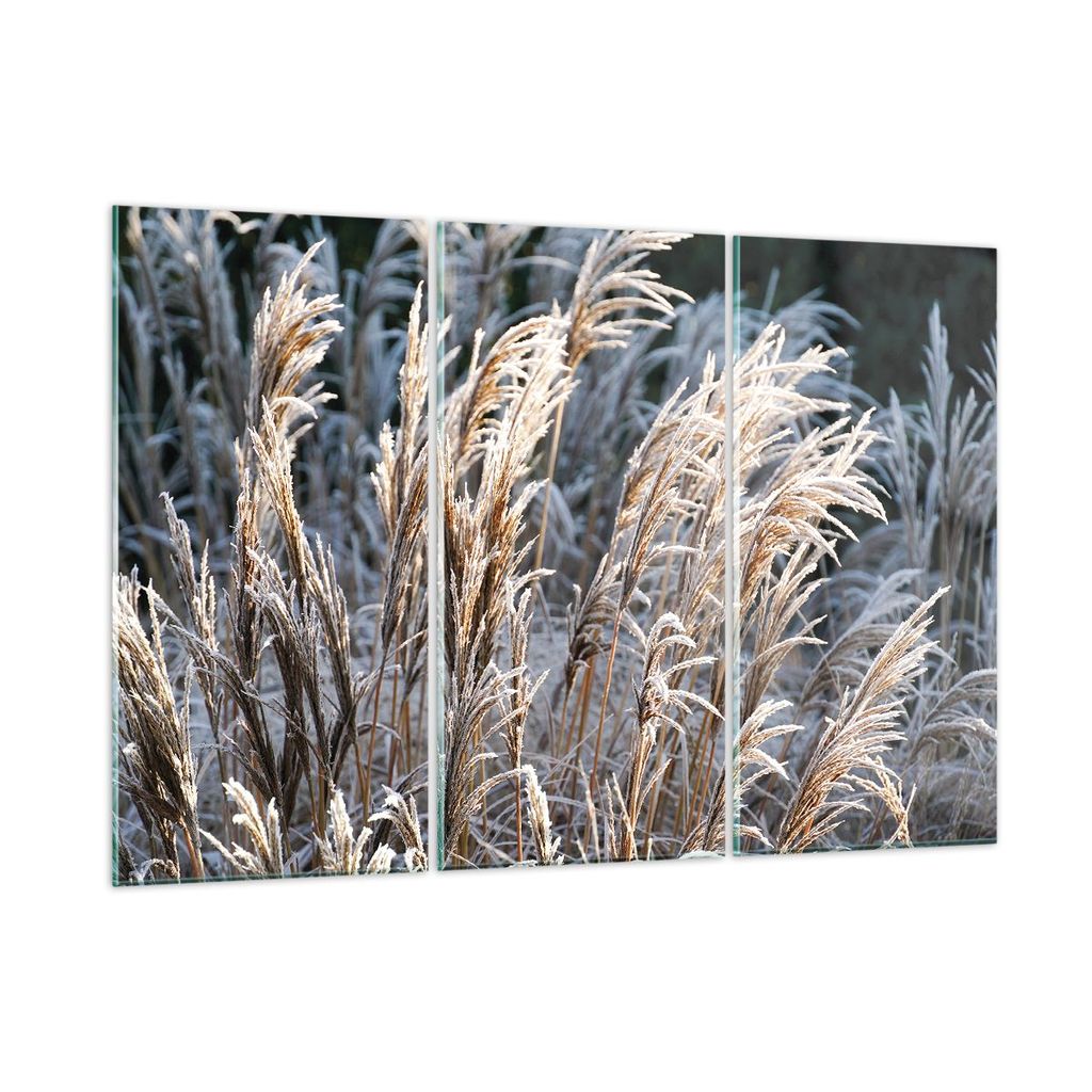 Bilder auf glas - 3 Teile - Stock Ähren Boho - 165x110cm - Glasbilder - Wandbilder - Bilder - zum Aufhängen bereit - Wanddekoration aus Glas - Gl...