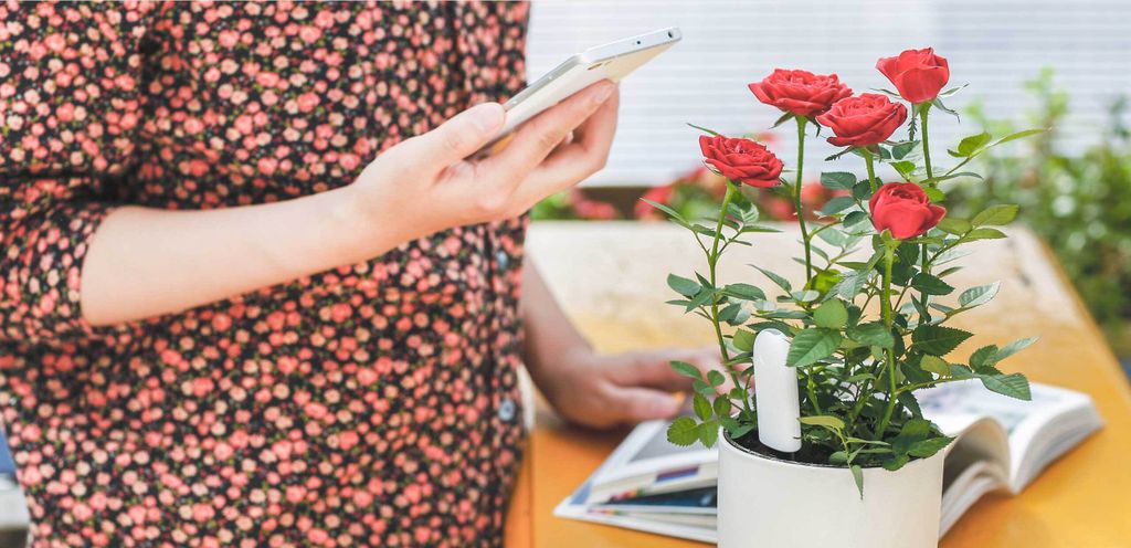 TECHPUNT Xiaomi Mi Flower Care Plant Sensor Produktbild 