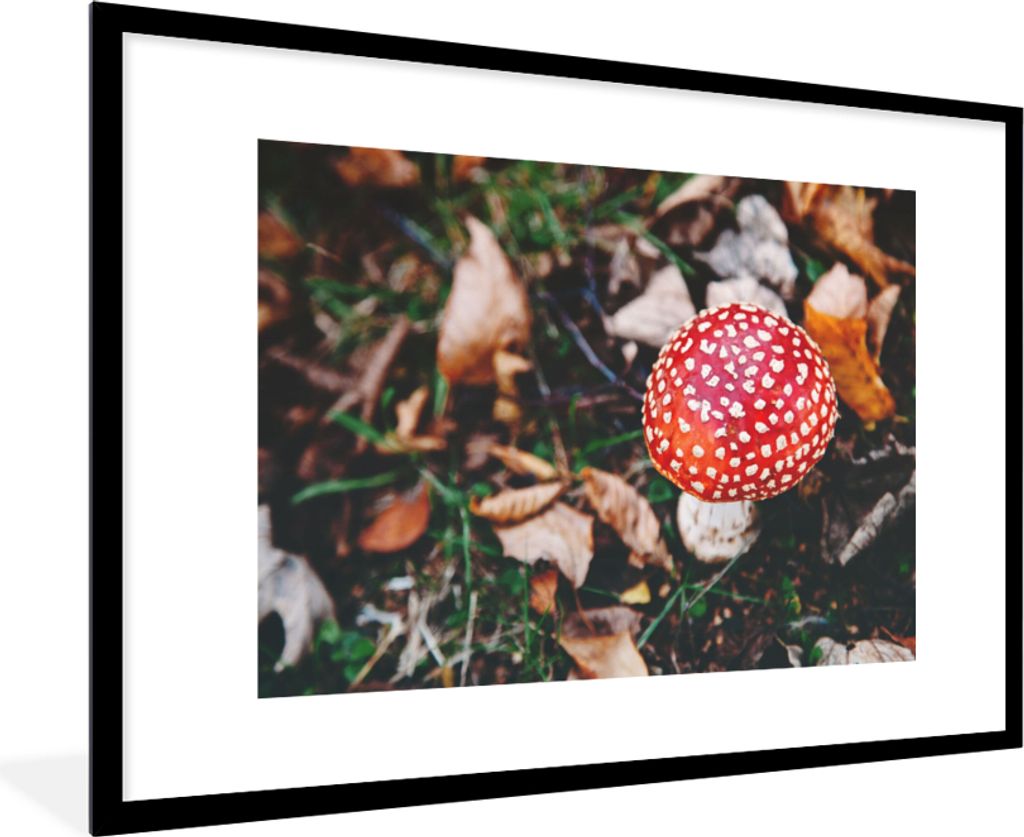 MuchoWow Gerahmtes Poster Herbst - Pilz - Blätter - Natur 90x60 cm - Poster mit Schwarzem Bilderrahmen Wandposter Rahmen Foto Bilder - Wanddekor...