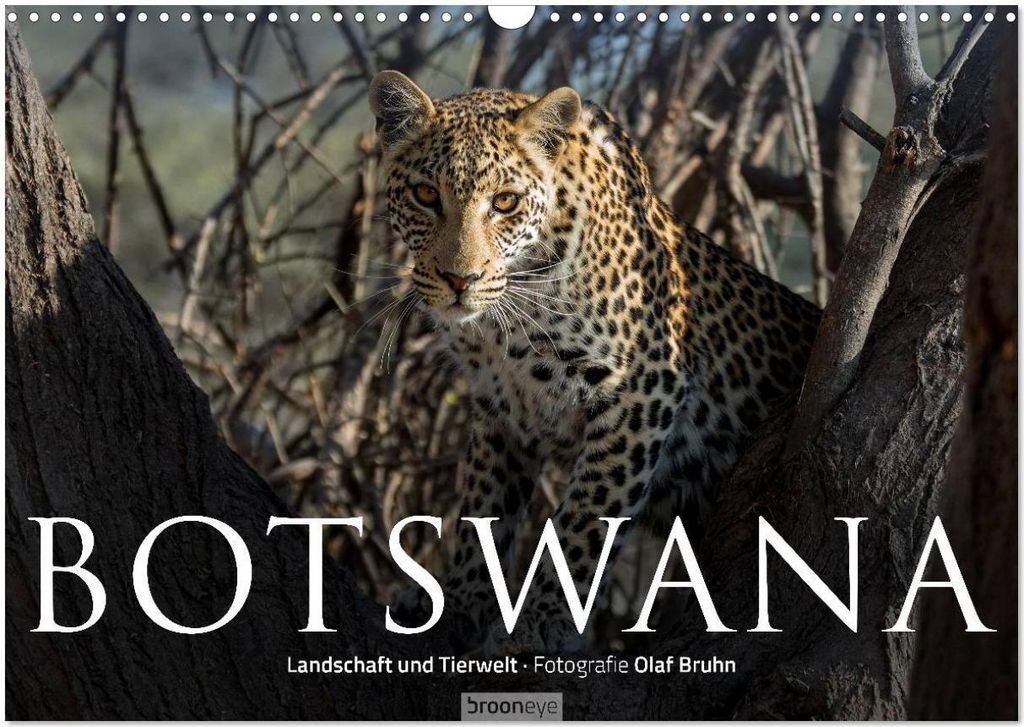 Botswana – Landschaft und Tierwelt (Wandkalender 2026 DIN A3 quer), CALVENDO Monatskalender