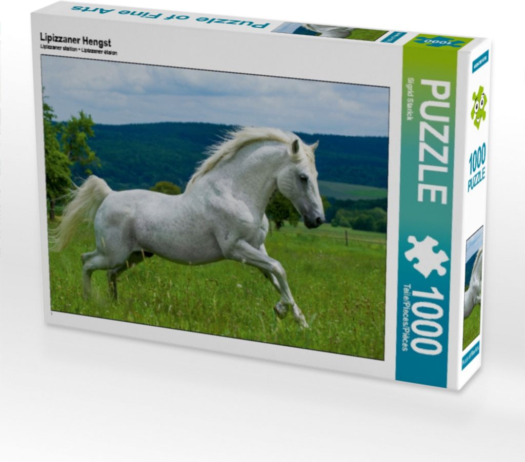 CALVENDO Puzzle Lipizzaner Hengst | 1000 Teile Lege-Größe Produktbild 