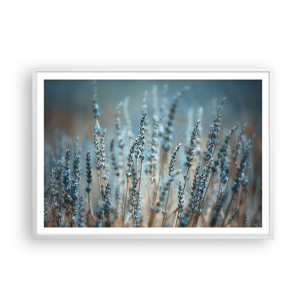 Gerahmtes Poster - Weißer Rahmen - Lavendel Klinge Blume - 100x70 cm - Wand Bild - Wanddeko - Wandbilder - Kunstposter - Wandposter - Bilderrahmen...
