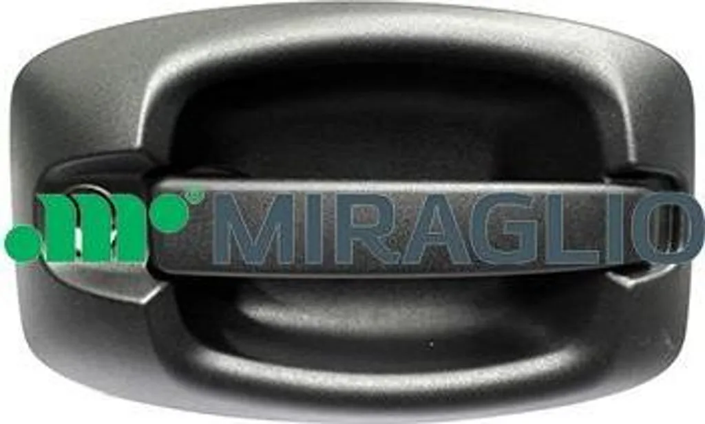 Changement poignée de porte Daily 5801577663 - Pièce Miraglio 80/860