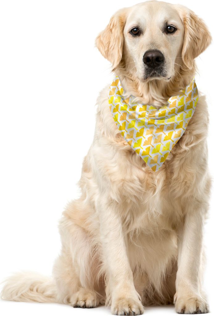 ABAKUHAUS Gelb und Weiß Haustier Bandana, Ginkgo-Blätter Nut, 40x40 cm, Dunkelgelb Pastellgelb
