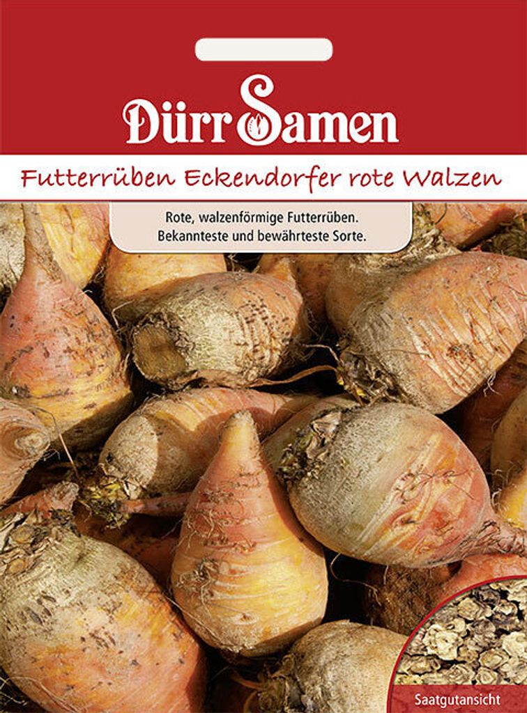 Dürr-Samen - Futterrüben Eckendorfer rote Walzen - Saatgut Produktbild 