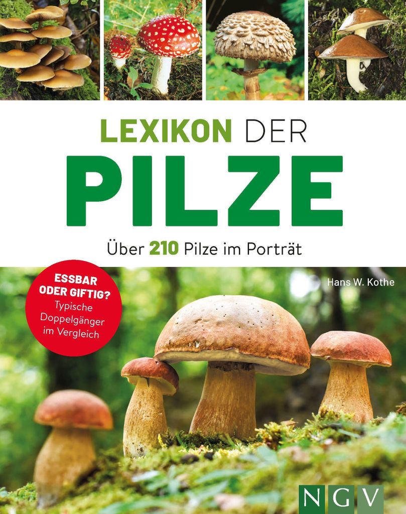Lexikon der Pilze - Über 210 Pilze im Porträt Produktbild 