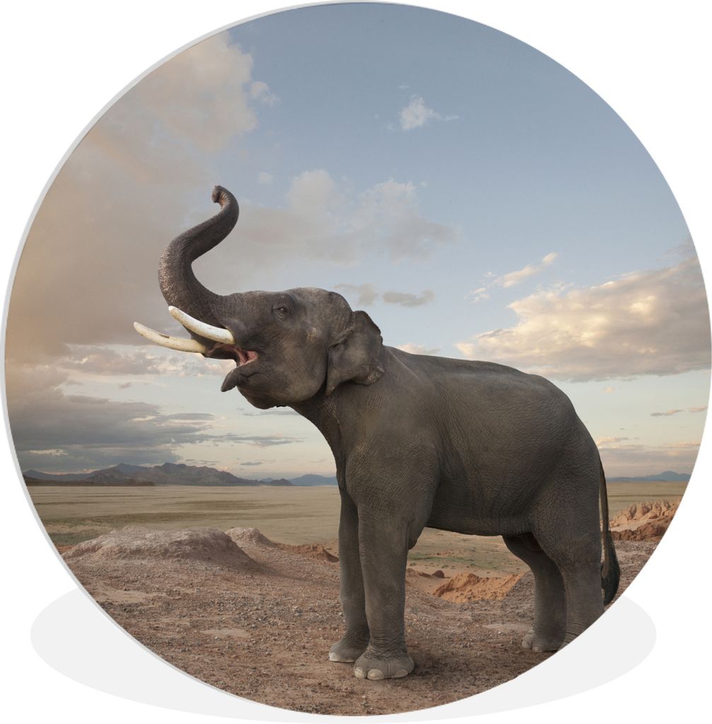 MuchoWow Rundes Wandbild - Runde Bilder Elefant - Hügel - Wolke Ø 90 cm Kreis Wanddekoration Kunststoff - Wandkreis - Wandschmuck - Wand-Kreis ...