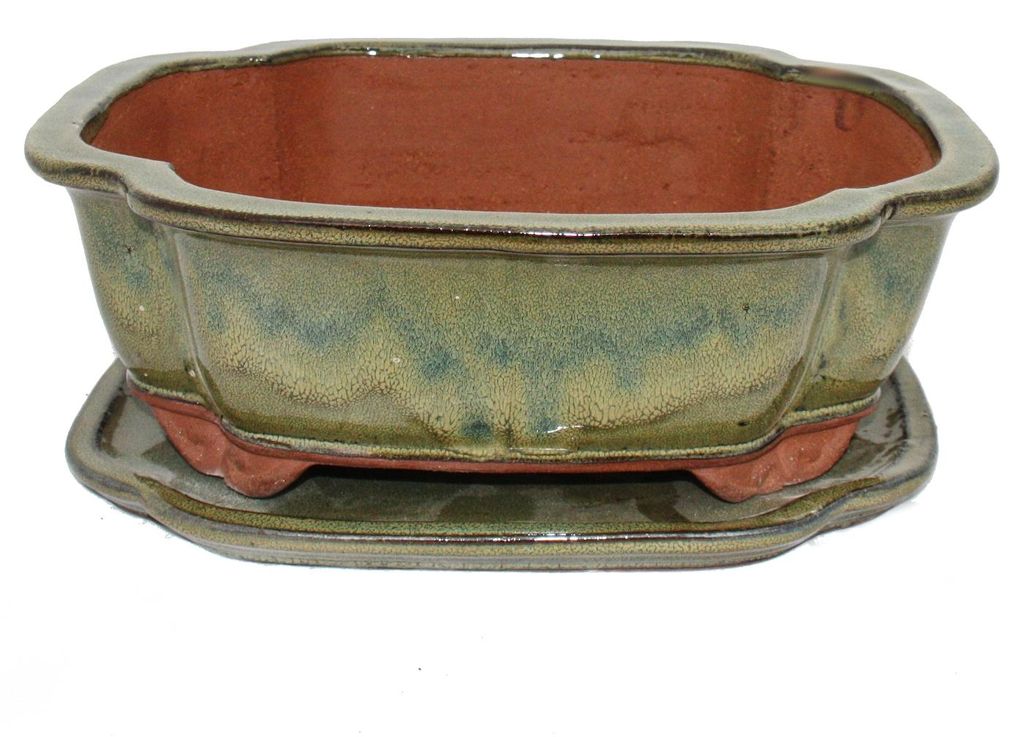 Bonsai-Schale mit Untersetzer Gr. 5 – olivbraun – Haitang Produktbild 