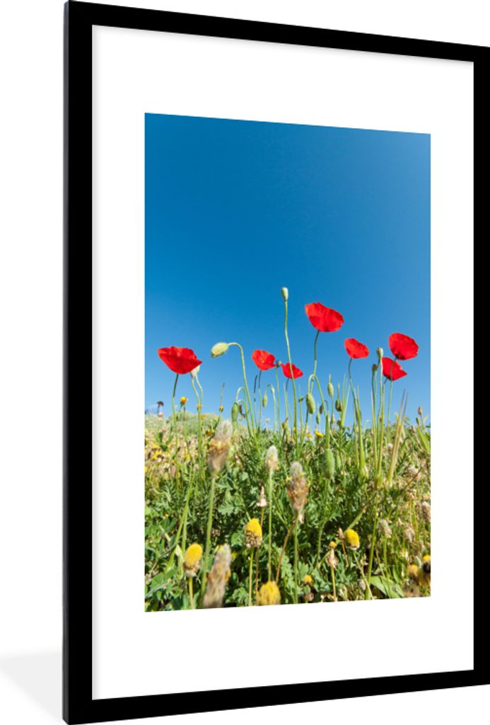 MuchoWow Gerahmtes Poster Rote Mohnblumen unter einem strahlend blauen Himmel in der Türkei 60x90 cm - Poster mit Schwarzem Bilderrahmen Wandpos...