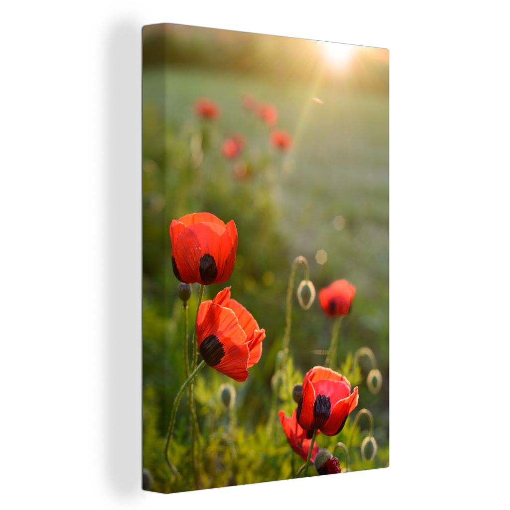 OneMillionCanvasses - Leinwandbilder - 90x140 cm, Mohnblumen bei Sonnenuntergang, Wandbilder Kunstdruck Wanddekoration - Foto auf Leinwand - Gem...