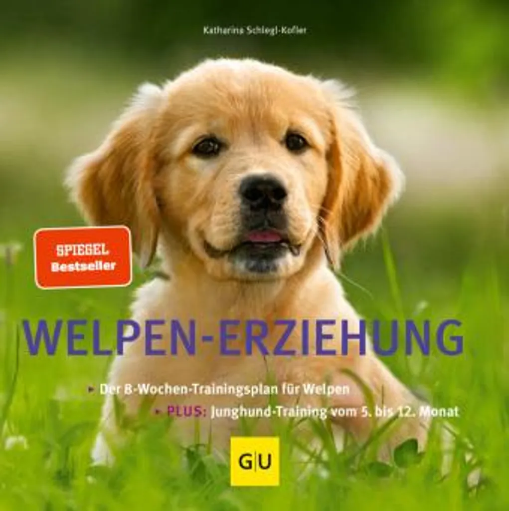 Guide Éducation Chiot : Méthode Complète Welpen-Erziehung pour Débutant