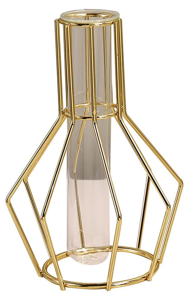 Schlichte nordische Glasvase mit kunstvollem Eisenrahmen für Hydrokultur-Pflanzgefäße. Transparente Reagenzglasvase, dekorative Metallvase für ...