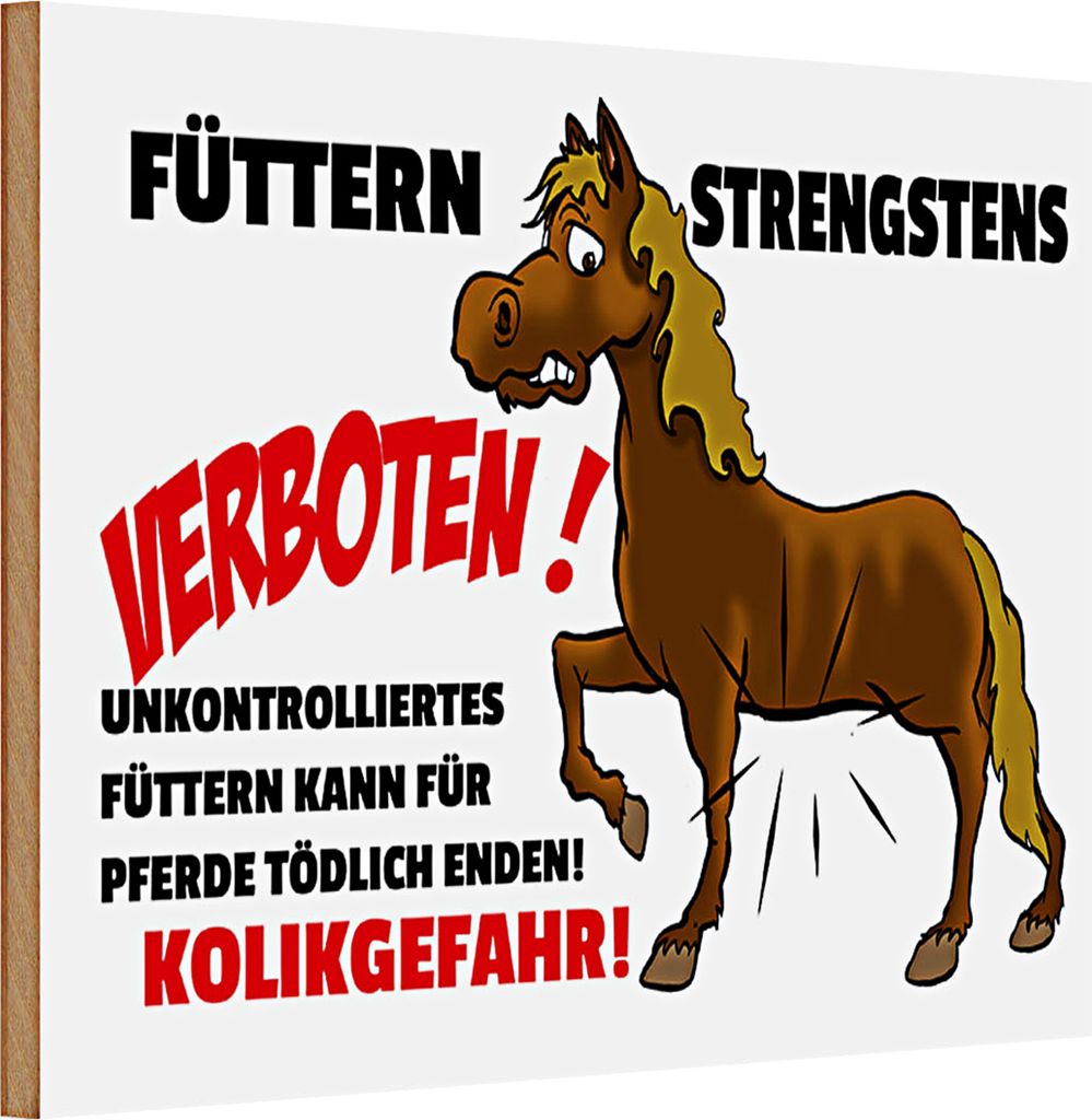 Holzschild Spruch Verbotsschild 30x20cm Füttern strengstens Produktbild 
