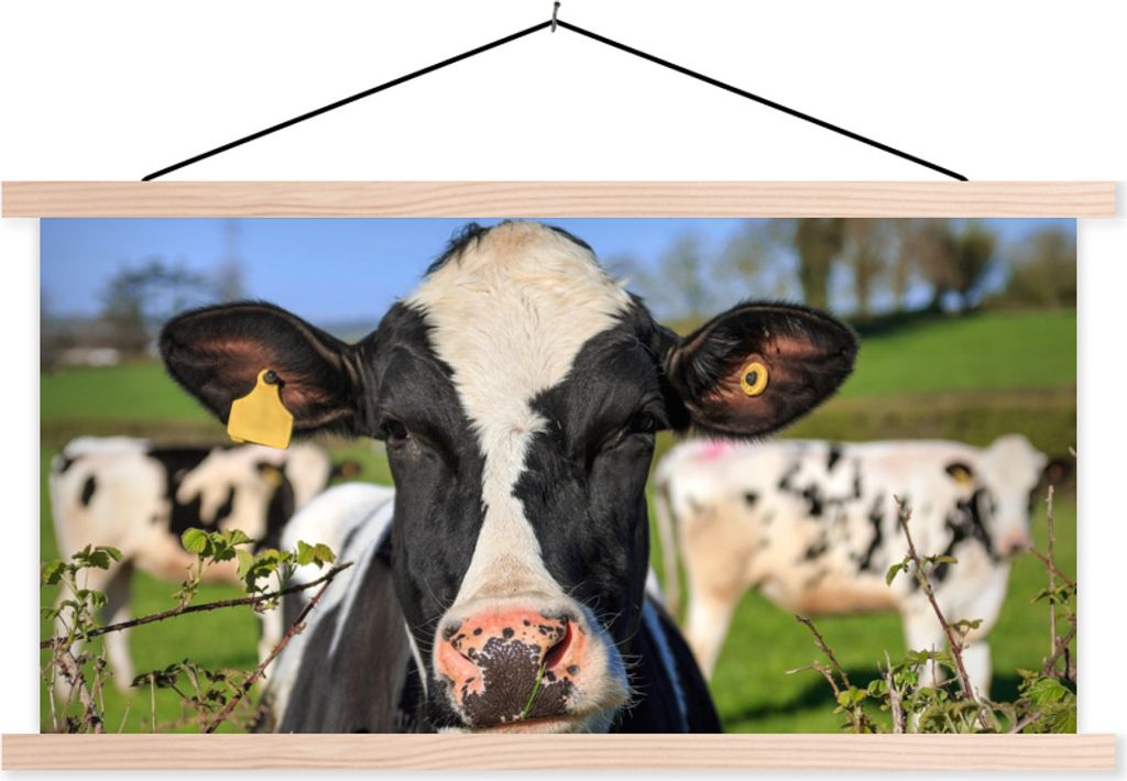 MuchoWow Textilposter Kuh - Zaun - Gras - Tiere 60x30 cm mit holzfarbenen Rahmen - Dekoration