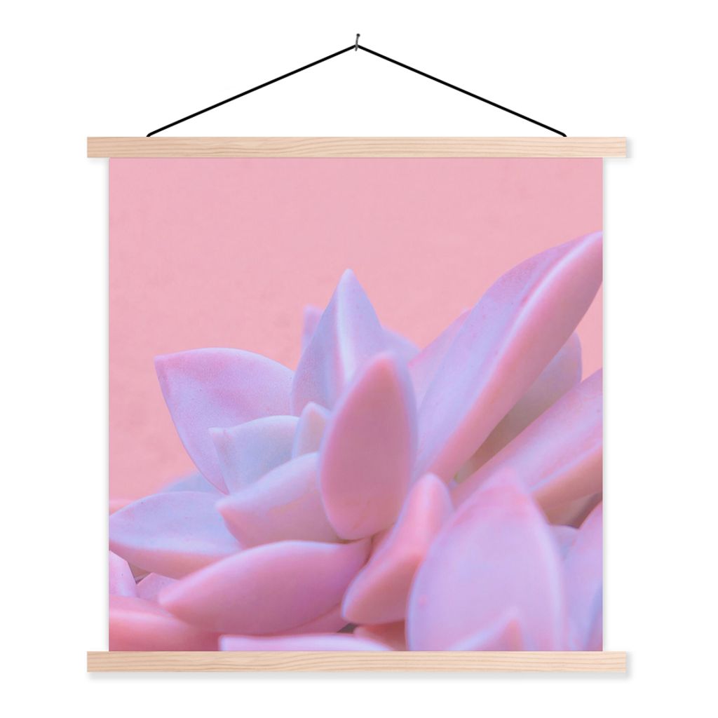 MuchoWow Textilposter Sukkulente - Sommer - Rosa - Pflanzen 120x120 cm mit holzfarbenen Rahmen - Textil-Poster