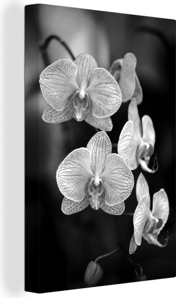 OneMillionCanvasses - Leinwandbilder - 90x140 cm, Orchidee - schwarz und weiß, Wandbilder Kunstdruck Wanddekoration - Wandschmucke - Schlafzimmer