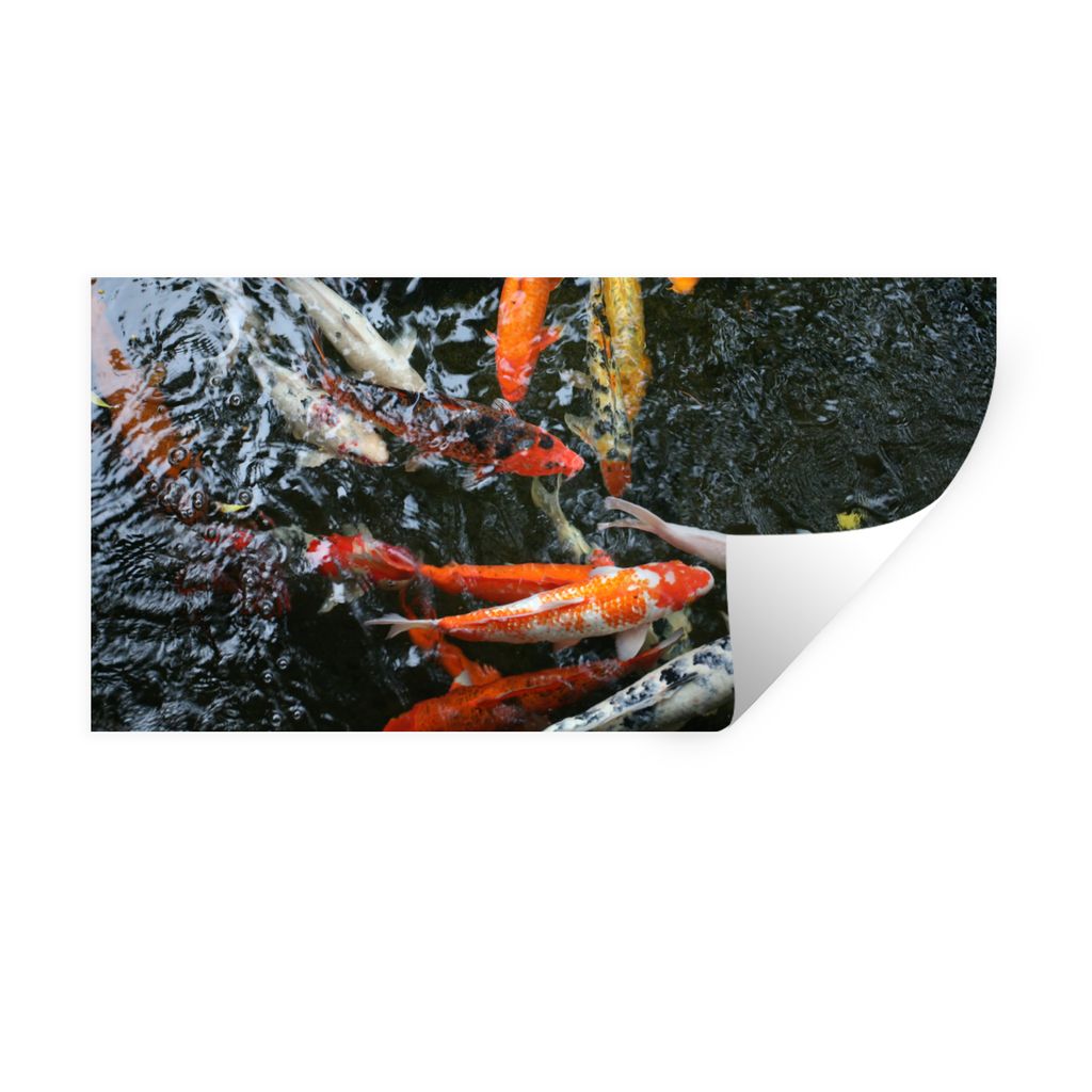 MuchoWow Wandtattoo Wandsticker Wandaufkleber Eine große Gruppe von Koi Karpfen 40x20 cm Selbstklebend und Repositionierbar - Aufkleber
