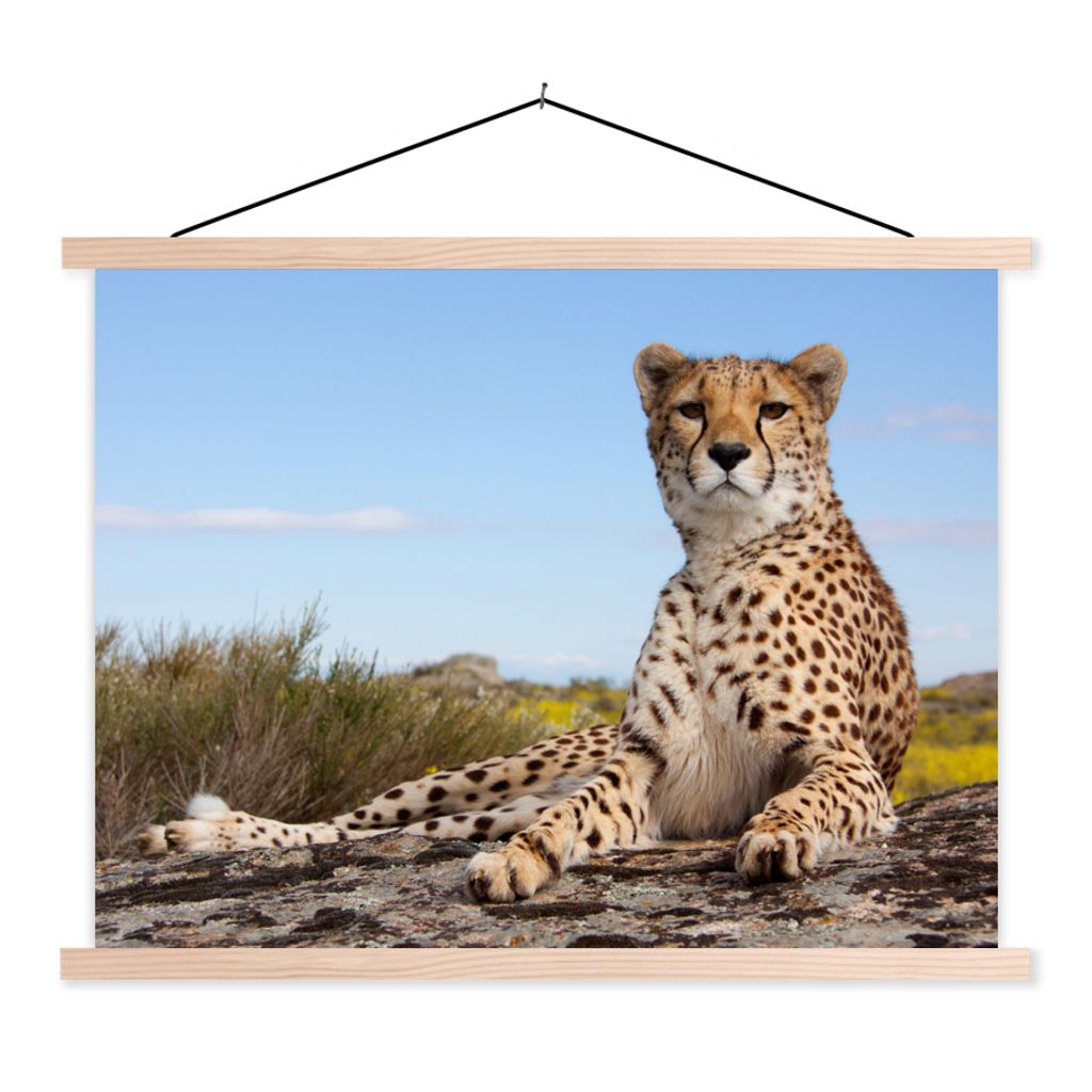 MuchoWow Textilposter Leopard - Tiere - Natur 120x90 cm mit holzfarbenen Rahmen - Magnetisch