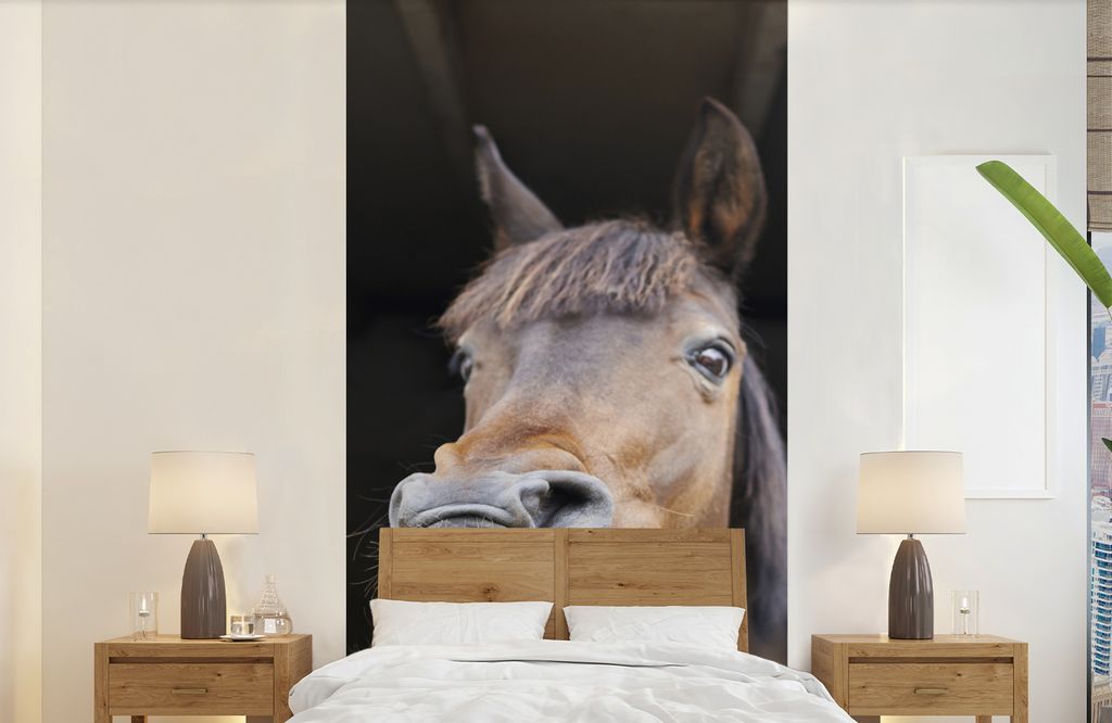 MuchoWow Fototapete für Wohnzimmer oder Schlafzimmer Wandtapete Vinyl Motivtapete Pferd - Lustig - Stall - Kinder - Jungen - Mädchen - Kinder -...