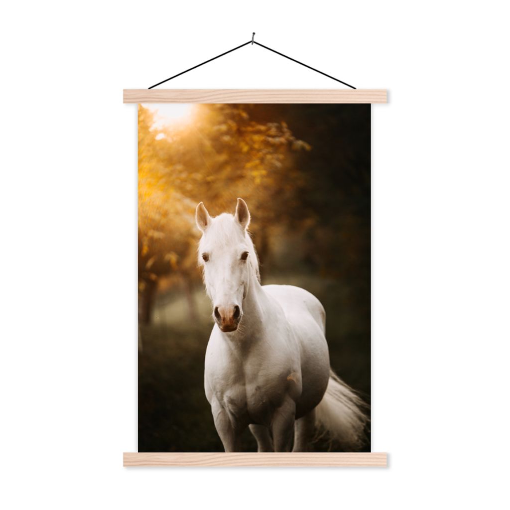 MuchoWow Textilposter Pferd - Licht - Sonne 40x60 cm mit holzfarbenen Rahmen - Poster