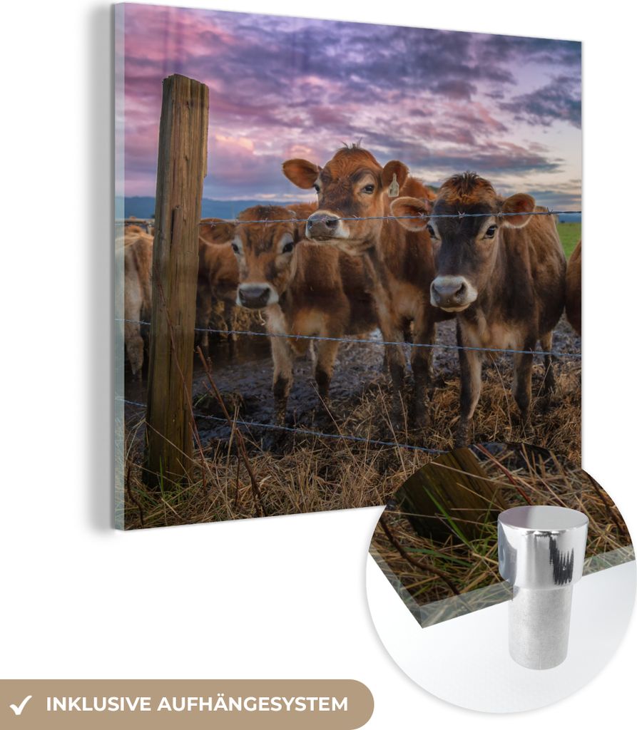 MuchoWow Glasbilder - Bilder auf Wandbild - Foto auf Glas Kuh - Zaun - Gras 20x20 cm Wanddekoration aus Glas - Acrylglasbild - Acrylbilder - Bilder...