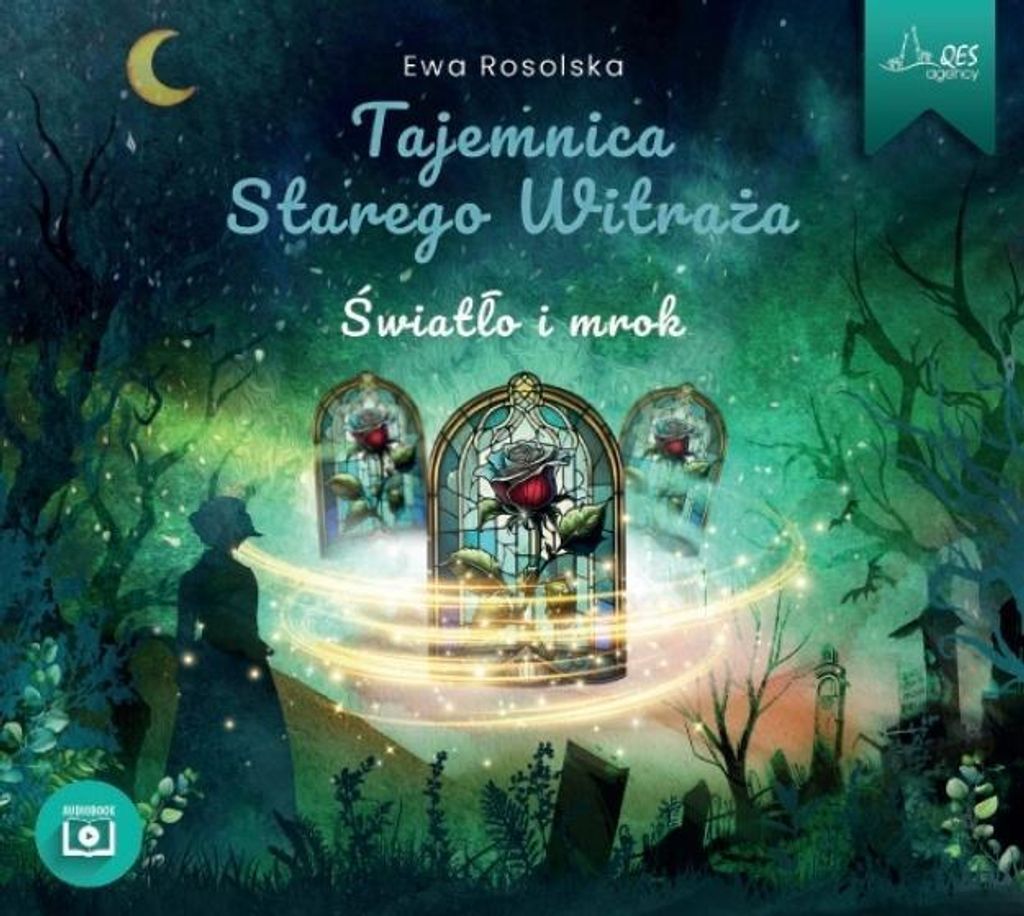 Das Geheimnis des alten Glasfensters, Band 4: Licht und Dunkelheit, CD – Ewa Rosolska