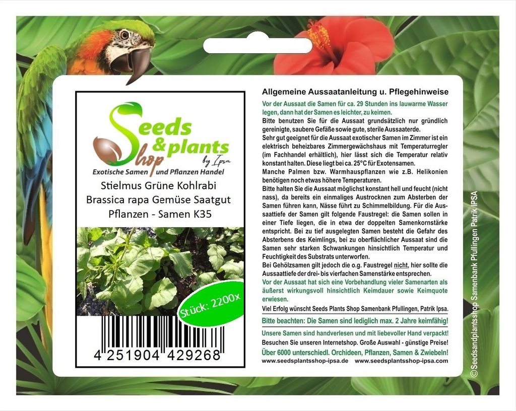 2200x Stielmus Grüne Kohlrabi Brassica rapa Gemüse Saatgut Pflanzen - Samen K35