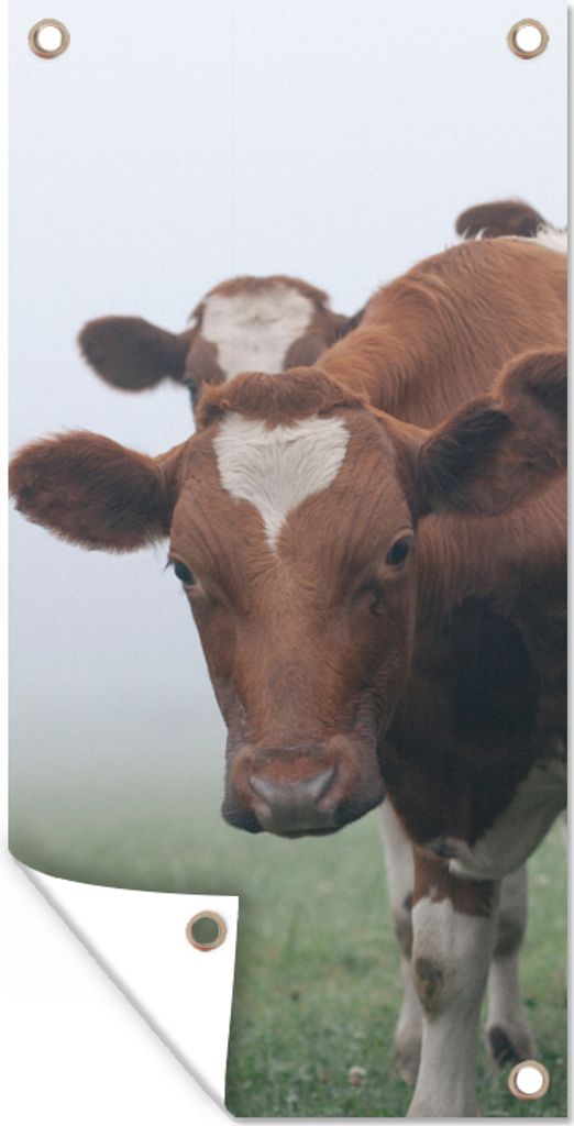 MuchoWow 80x160 cm Outdoor-Poster Gartendeko Sichtschutz Garten Poster für den Garten Kühe - Braun - Nebel