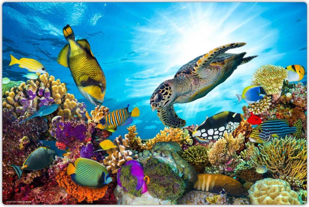 Schreibtischunterlage für Kinder - abwaschbar - Bunte Unterwasserwelt - aus premium Vinyl - 60 x 40 cm - Germany - Jungs & Mädchen