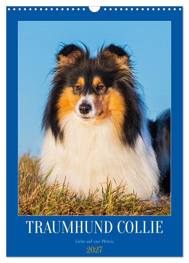 Traumhund Collie - Liebe auf vier Pfoten (Wandkalender 2027 DIN A3 hoch), CALVENDO Monatskalender