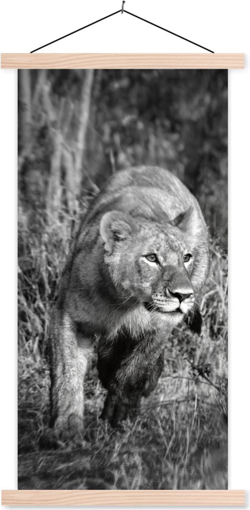 MuchoWow Textilposter Löwin - Jagd - Tiere 60x120 cm mit holzfarbenen Rahmen - Holz