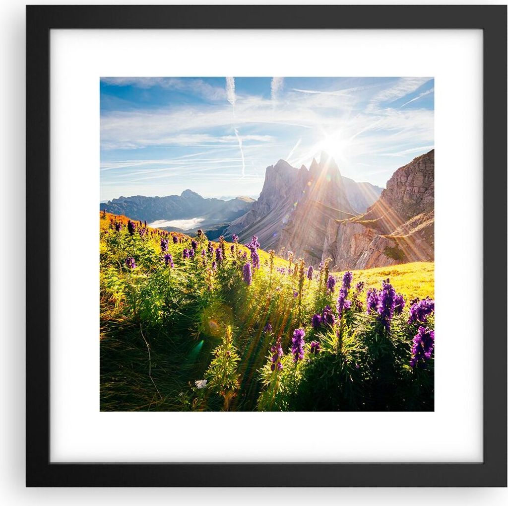 Gerahmtes Poster - Schwarzer Rahmen - Berge Wiese Blumen - 30x30 cm - Wand Bild - Wanddeko - Wandbilder - Kunstposter - Wandposter - Bilderrahmen -...
