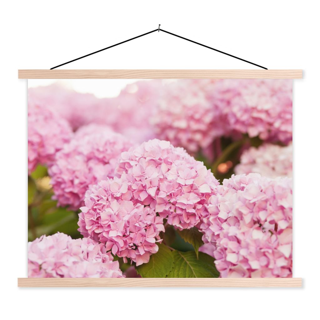 MuchoWow Textilposter Busch - Blumen - Rosa - Hortensie 120x90 cm mit holzfarbenen Rahmen - Magnetisch