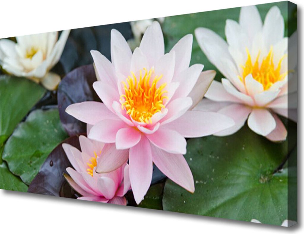 Tulup Leinwand-Bilder 100x50 Wandbild Canvas Kunstdruck Blumen Pflanzen