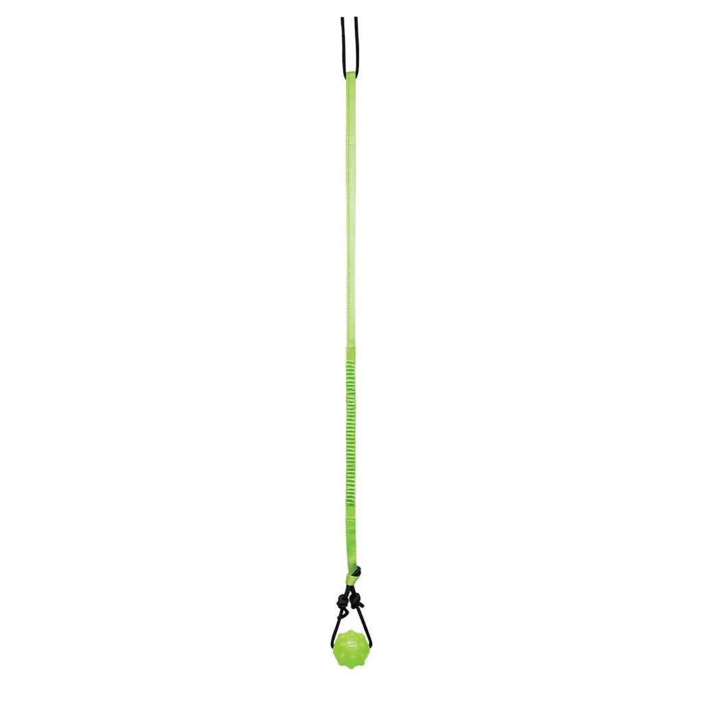 Jouet interactif Jolly Pets TL5369 Vert et Noir pour grand chien actif