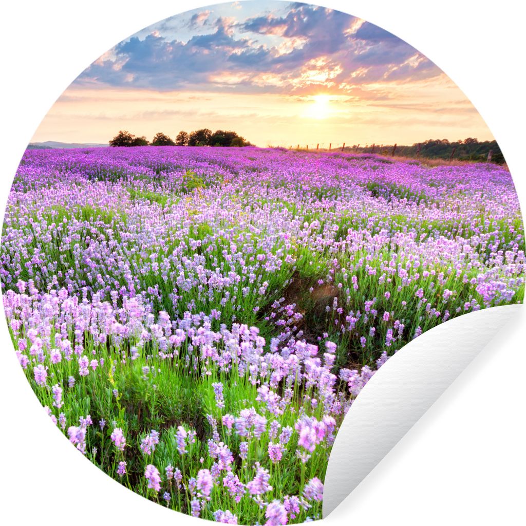 MuchoWow Runde Wandtattoo - Wandsticker Tapete Aufkleber Lavendel - Blumen - Sonnenuntergang - Lila - Wiese Ø 100 cm Selbstklebend und Repositio...