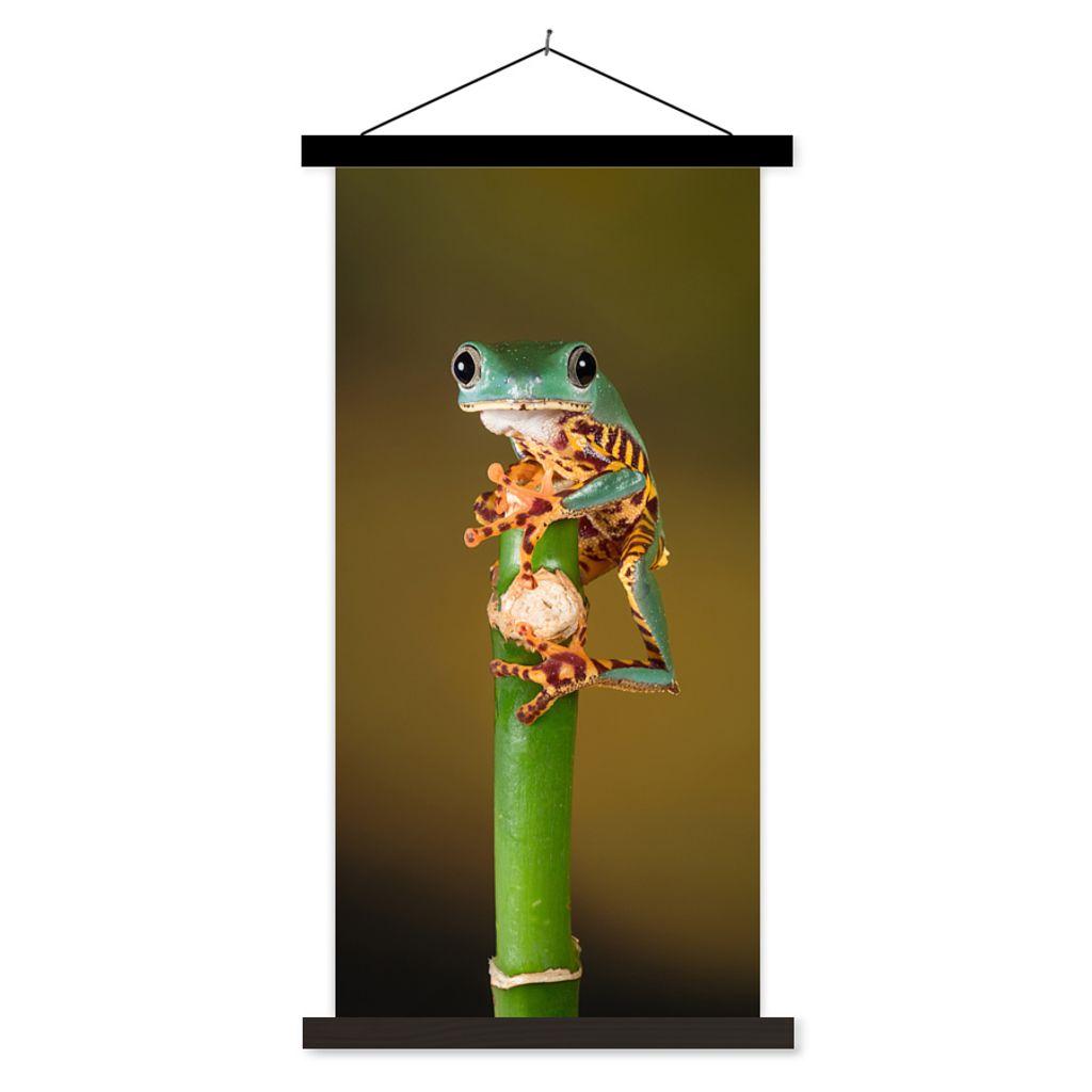 MuchoWow Textilposter Frosch auf grüner Pflanze, Nahaufnahme 90x180 cm mit schwarzem Rahmen - Dekoration Wohnzimmer