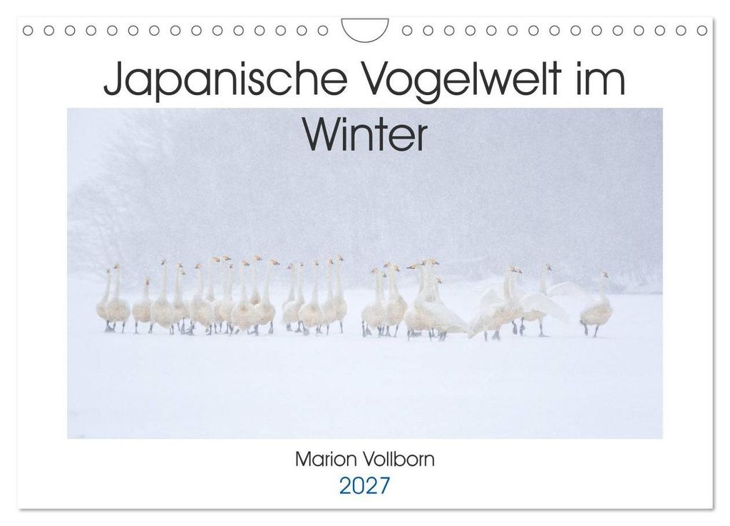 Japanische Vogelwelt im Winter (Wandkalender 2027 DIN A4 quer), CALVENDO Monatskalender