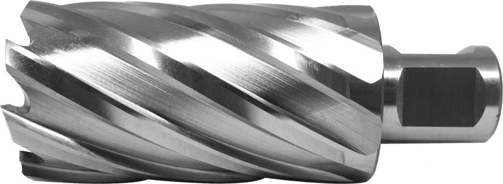 PAULIMOT HSS-Kernbohrer mit Bohrtiefe 55 mm, Ø 33 mm