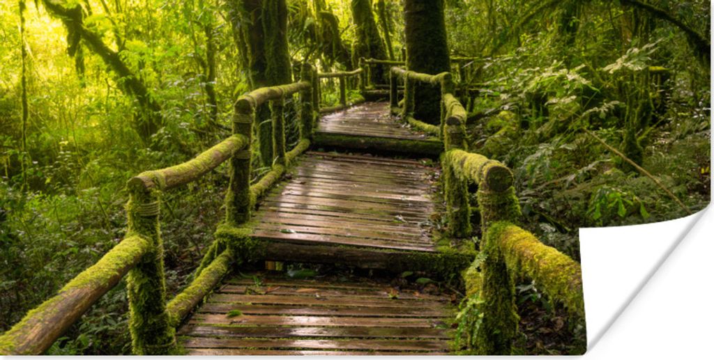 MuchoWow Poster Schöner Regenwald und Dschungel 120x60 cm - Bild