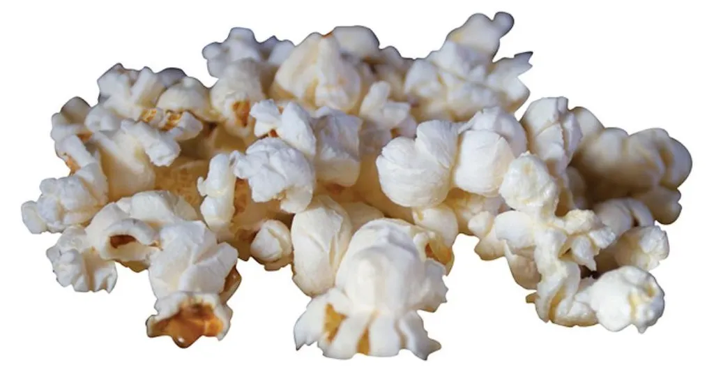 Cuisinez du pop-corn sans brûlures avec la poêle à long manche FF157 - 3