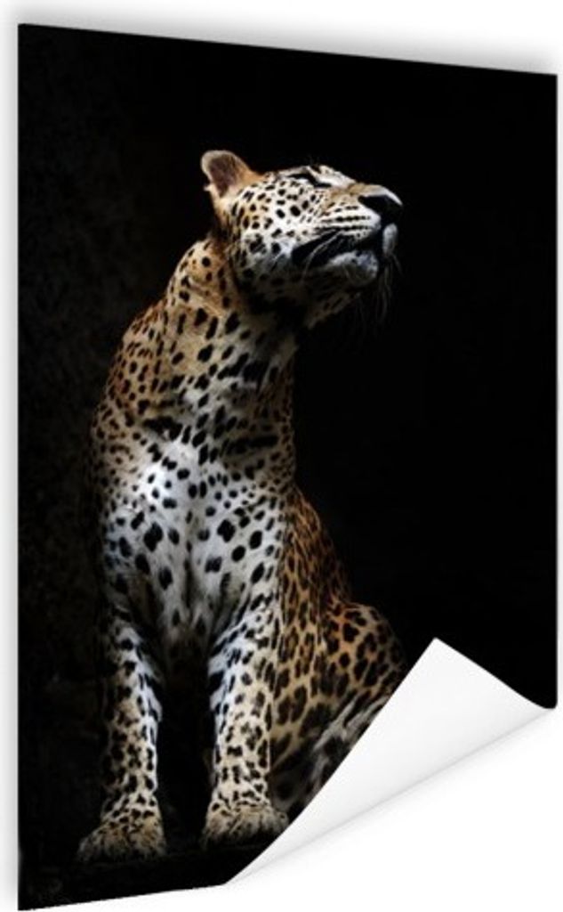 MuchoWow Poster Leopard - Schwarz - Schatten 80x120 cm - Papierdruck