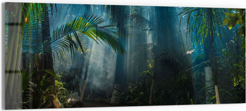 DEQORI Glasbild Echtglas 125x50 cm 'Licht durchdringt Palmen' Wandbild Bild modern Deko