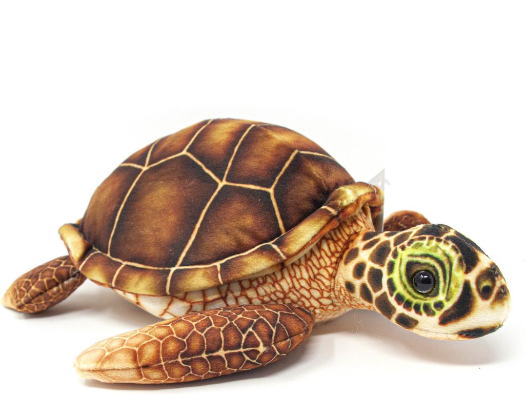 Cornelissen - Doudou - Tortue de mer marron - 25 cm Image du produit 