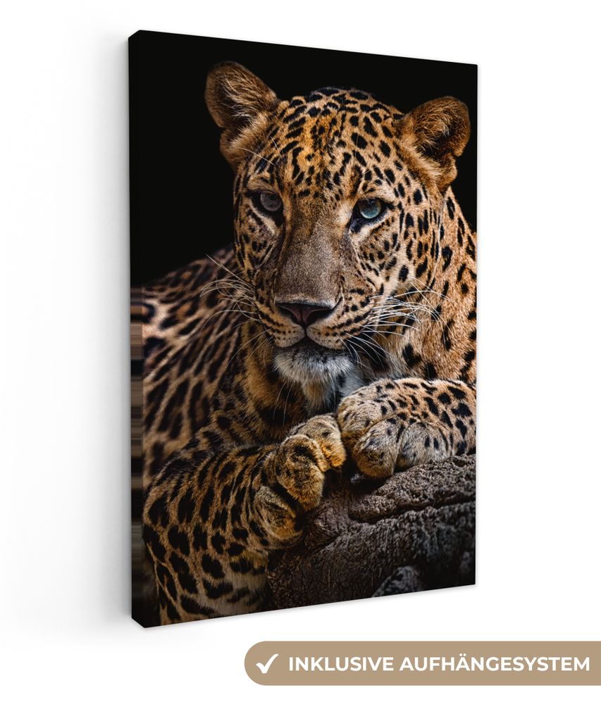 MuchoWow - Leinwandbilder - Wildtiere - Panther - Porträt - Schwarz - Tiere, Wandbild, Wanddeko Bilder Wohnzimmer, 60x90 cm