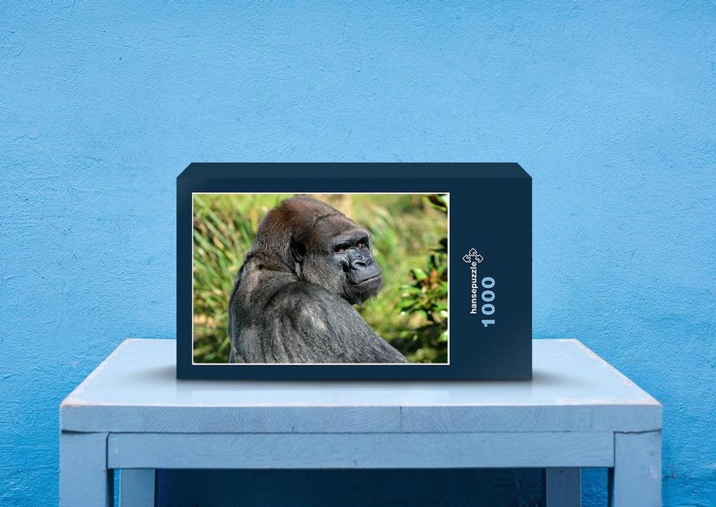 hansepuzzle 83763 - Gorilla Puzzle, 1000 Teile, Tierwelt, 60,0 x 46,0cm mit hochwertiger Aufbewahrung, Kartonbox und wiederverschließbarem Beutel